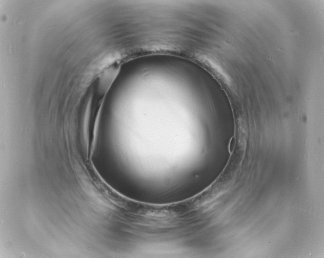 X0000088130631200705291334