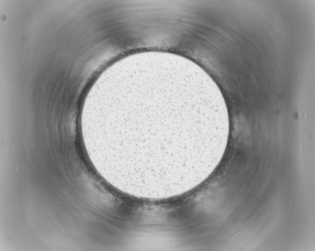 X0000088130632200705291334