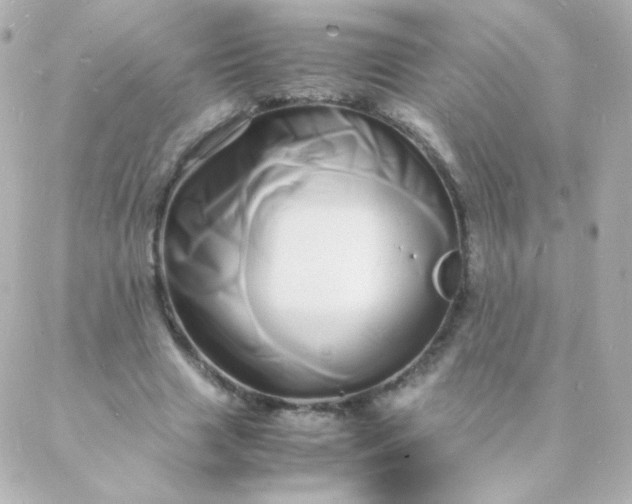 X0000088130633200705291334