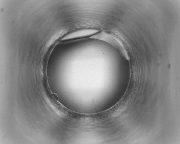 X0000088130634200705291334