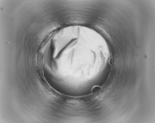 X0000088130635200705291334