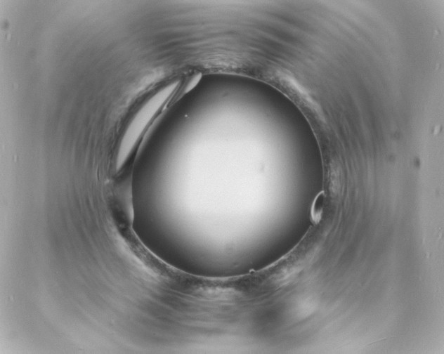 X0000088130637200705291334