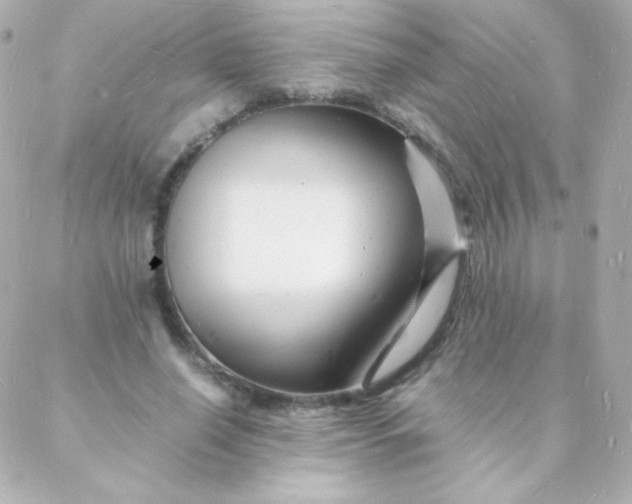 X0000088130638200705291334