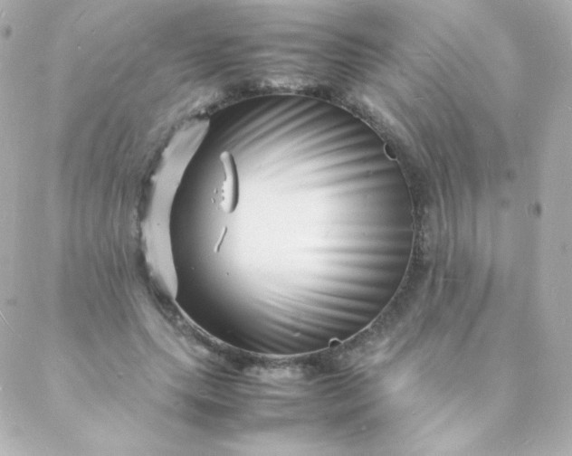 X0000088130639200705291334