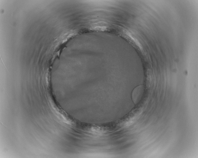 X0000088130641200705291334