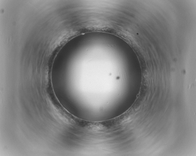 X0000088130642200705291334