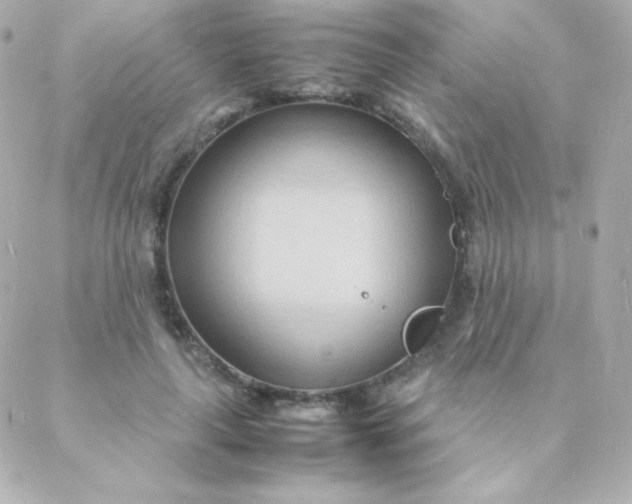 X0000088130643200705291334