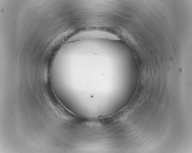 X0000088130644200705291334