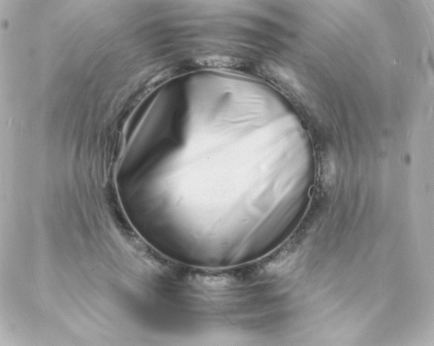 X0000088130645200705291334