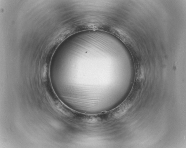 X0000088130646200705291334