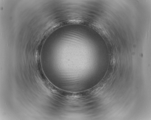 X0000088130647200705291334