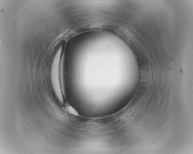 X0000088130648200705291334