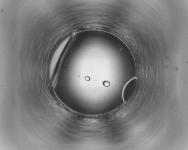 X0000088130649200705291334