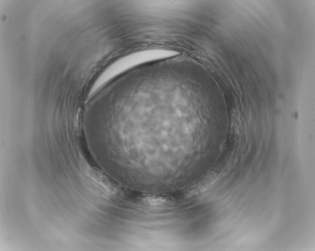 X0000088130650200705291334