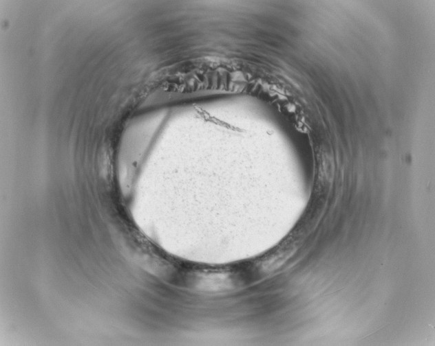 X0000088130651200705291334