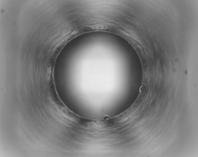 X0000088130652200705291334