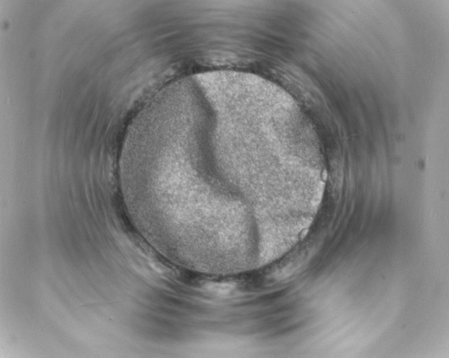 X0000088130653200705291334