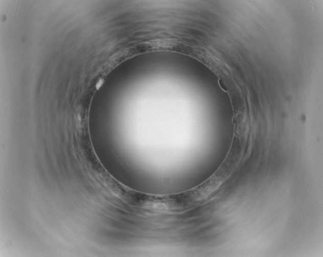 X0000088130655200705291334