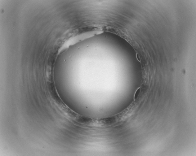 X0000088130656200705291334