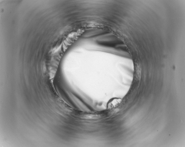 X0000088130657200705291334