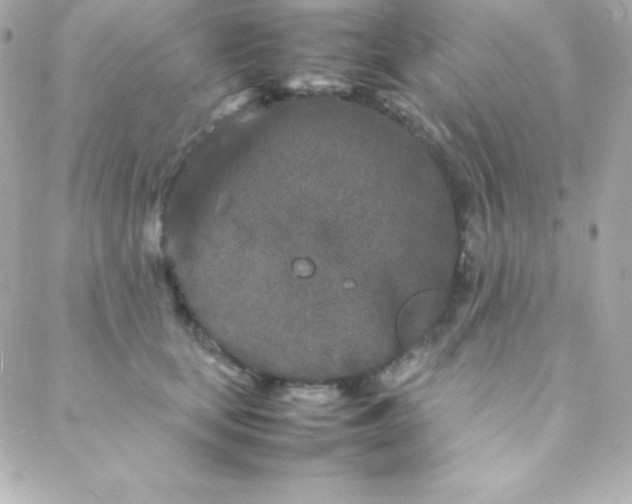 X0000088130659200705291334