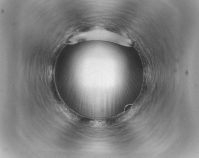 X0000088130660200705291334