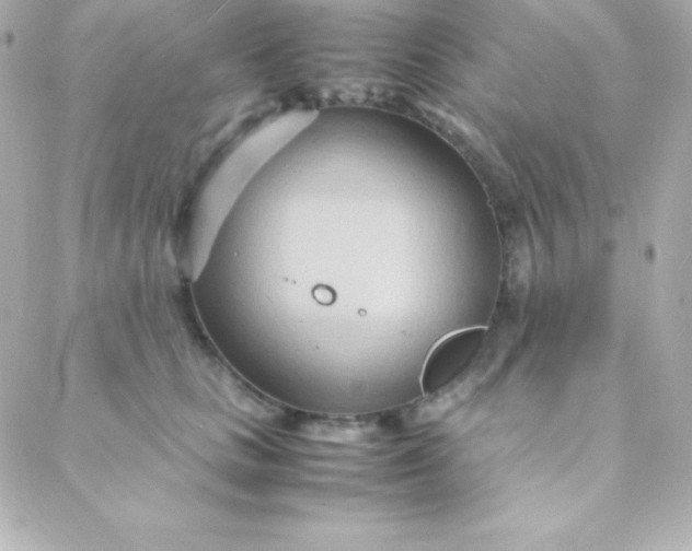 X0000088130661200705291334