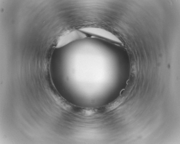 X0000088130662200705291334