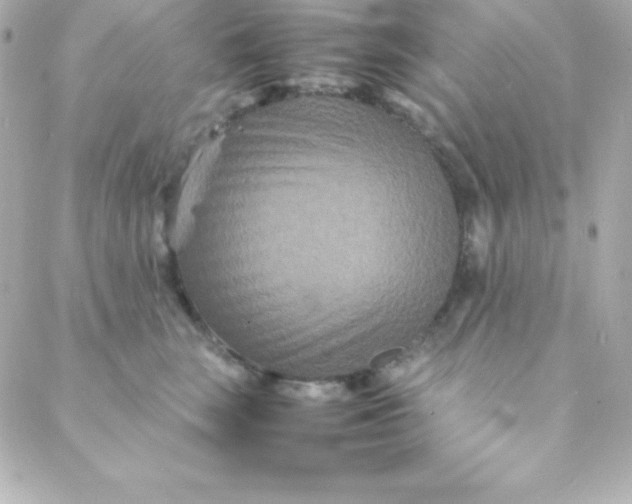 X0000088130663200705291334