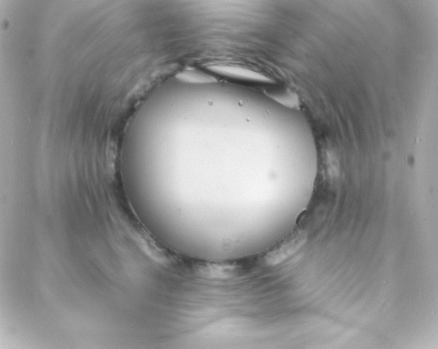 X0000088130664200705291334