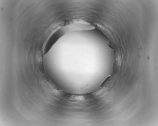 X0000088130665200705291334