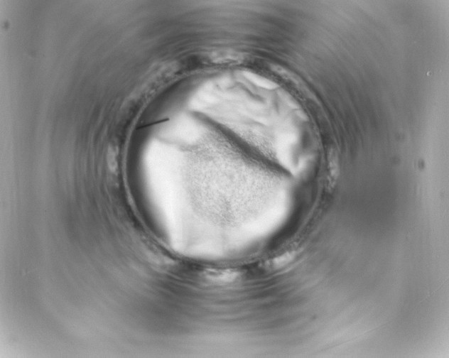 X0000088130667200705291334