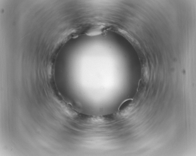 X0000088130668200705291334