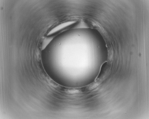 X0000088130669200705291334