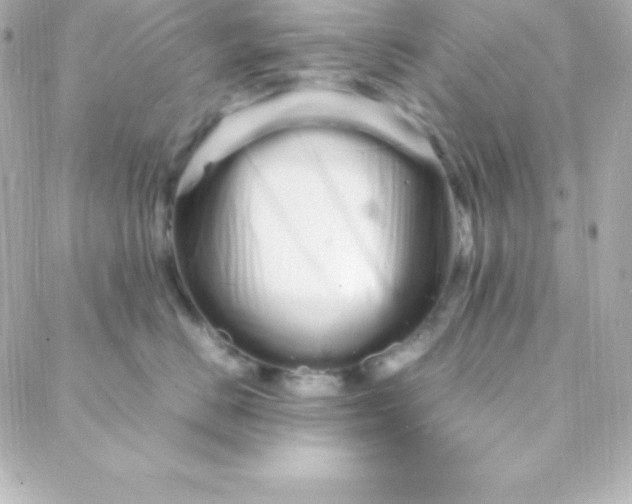 X0000088130670200705291334