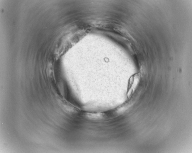 X0000088130671200705291334