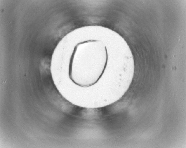 X0000088130672200705291334