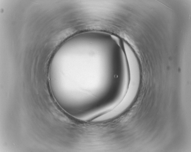 X0000088130673200705291333