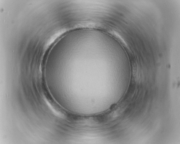 X0000088130674200705291333