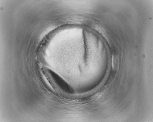 X0000088130675200705291333