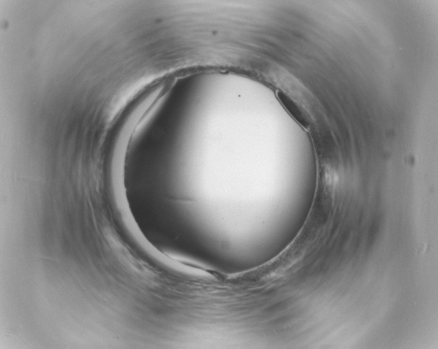 X0000088130676200705291333