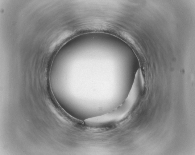 X0000088130677200705291333