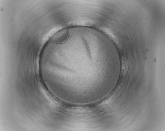 X0000088130678200705291333