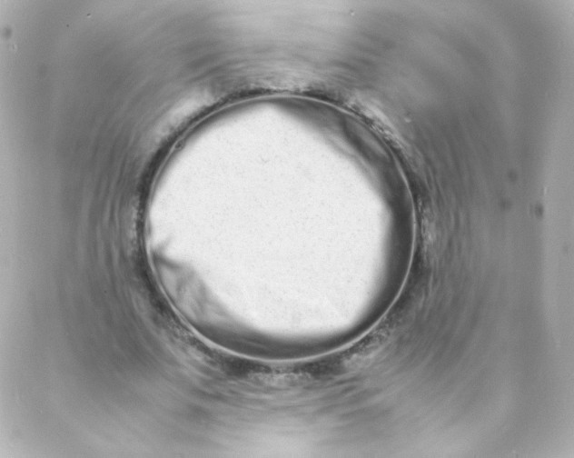 X0000088130679200705291333