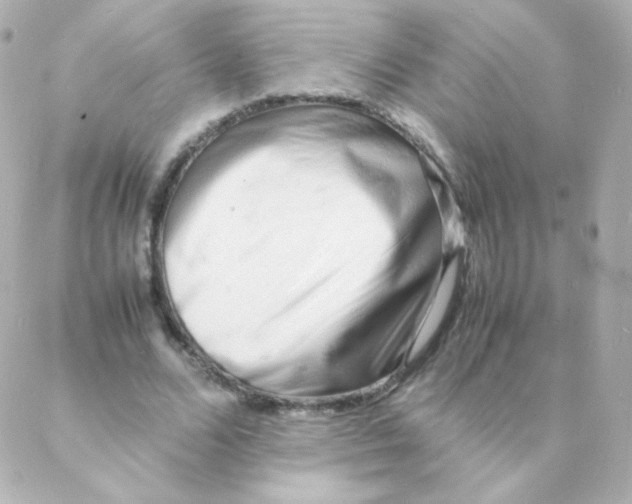 X0000088130680200705291333