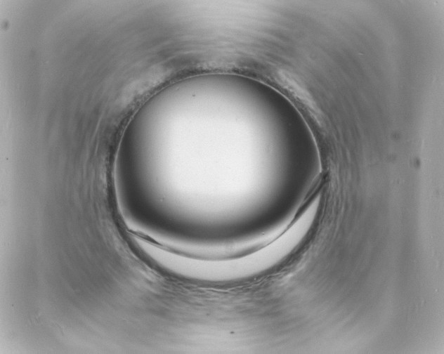 X0000088130681200705291333