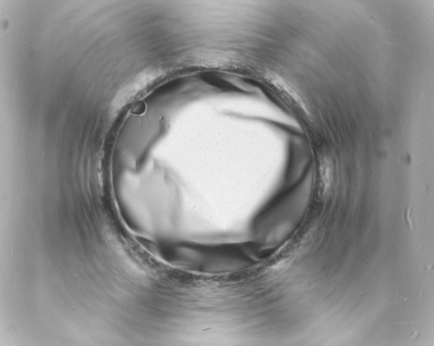 X0000088130682200705291333