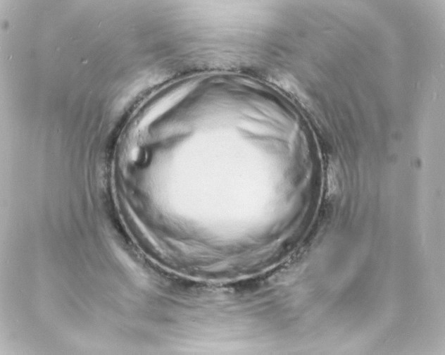 X0000088130683200705291333