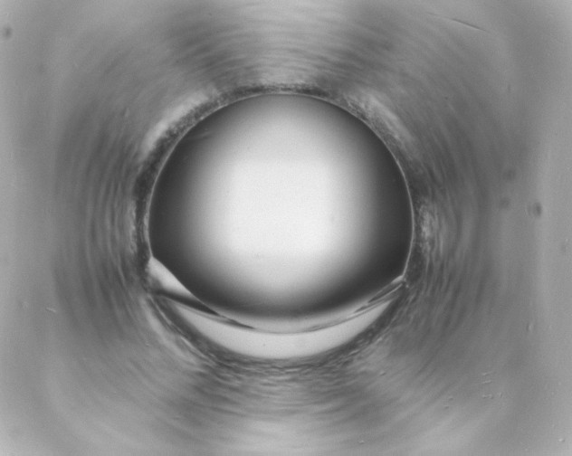 X0000088130684200705291333