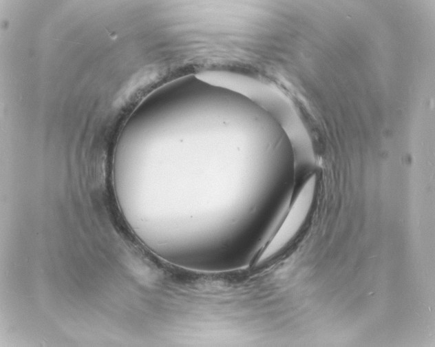 X0000088130685200705291333